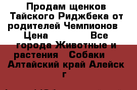 Продам щенков Тайского Риджбека от родителей Чемпионов › Цена ­ 30 000 - Все города Животные и растения » Собаки   . Алтайский край,Алейск г.